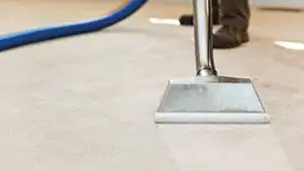Carpet cleaning wand head gliding over a light carpet during hot-water extraction, Peoria, IL.