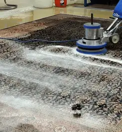 Professional rug cleaning with a rotary floor machine and shampoo foam, deep-cleaning an area rug Peoria, IL.